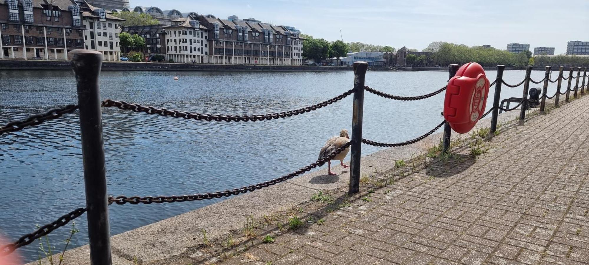 Riverside 1Br With Easy Transport 20Min To City Centre Лондон Экстерьер фото