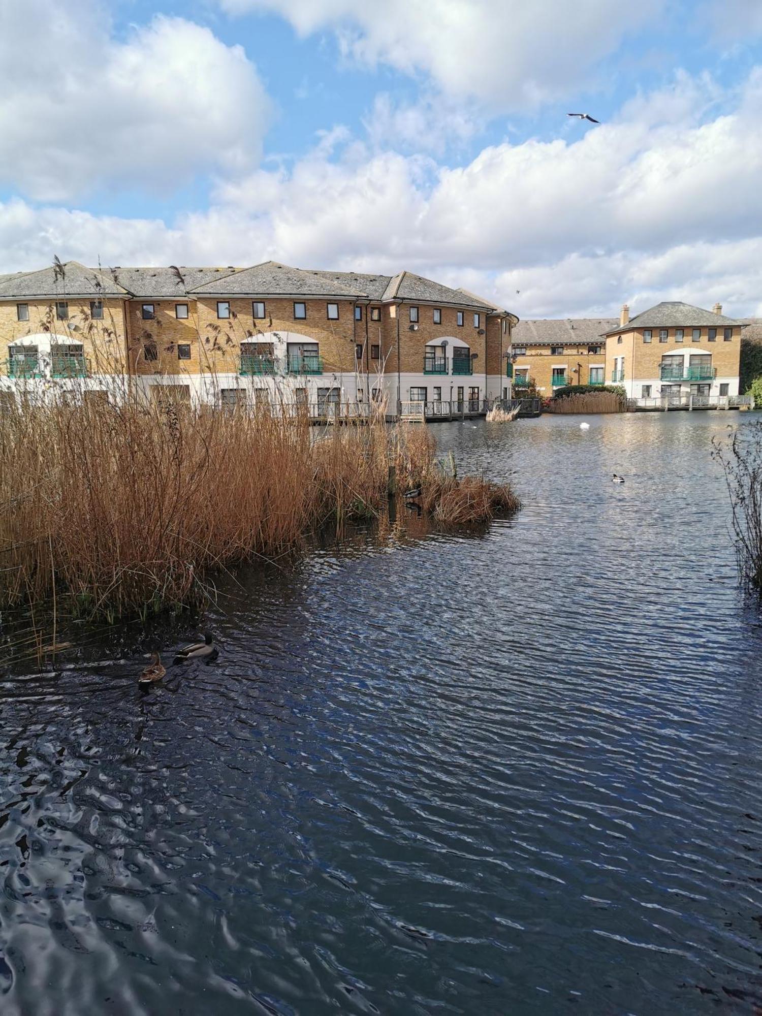 Riverside 1Br With Easy Transport 20Min To City Centre Лондон Экстерьер фото